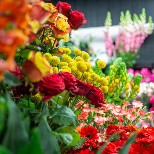 Fleuriste à Le Boupère 