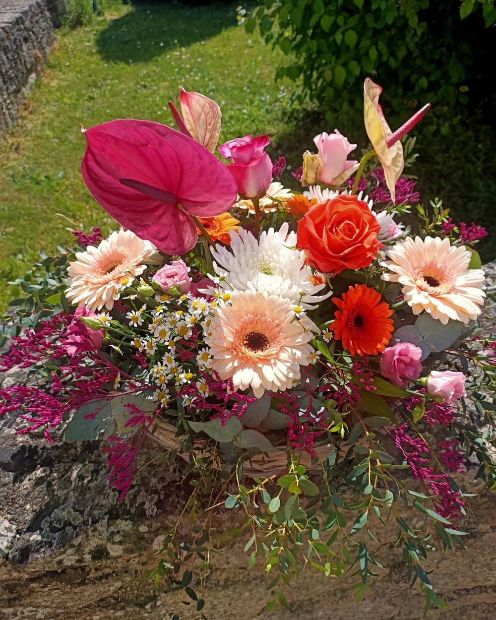 Plantes à Le Boupère 